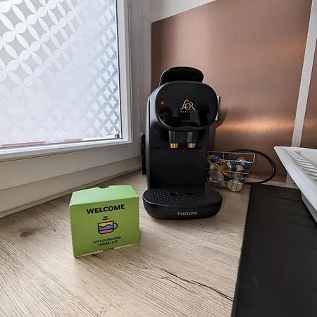 Vitrail Yourhosthelper 巴约讷