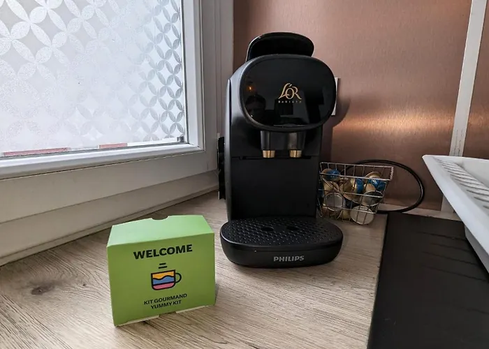 Vitrail Yourhosthelper 巴约讷